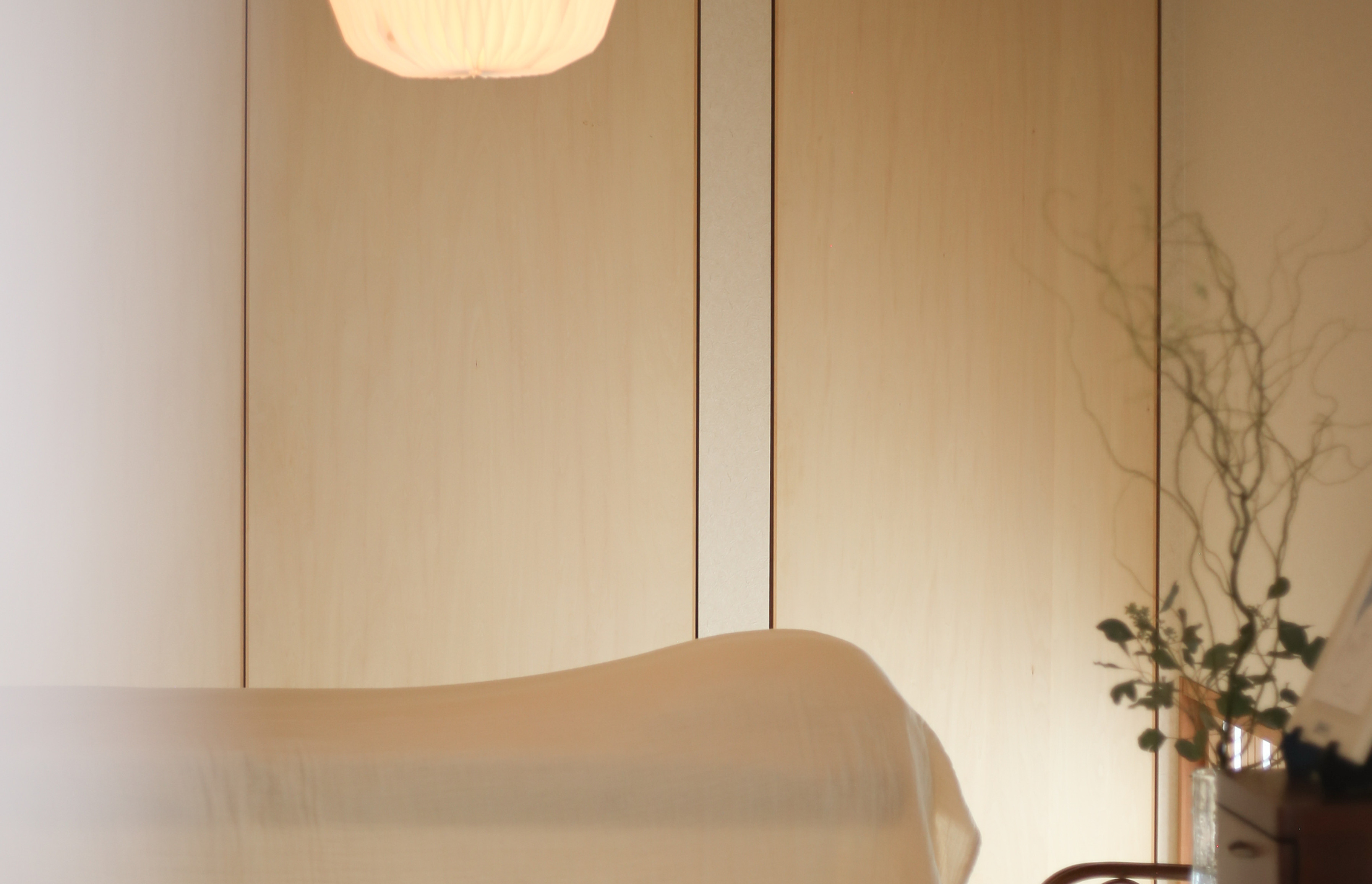 八女郡広川町のSENoma Sugaring.の店内