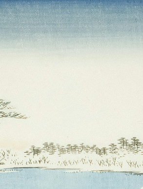 SUGARING fuyu.jpg