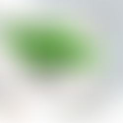 Dia Mundial da Justiça Social