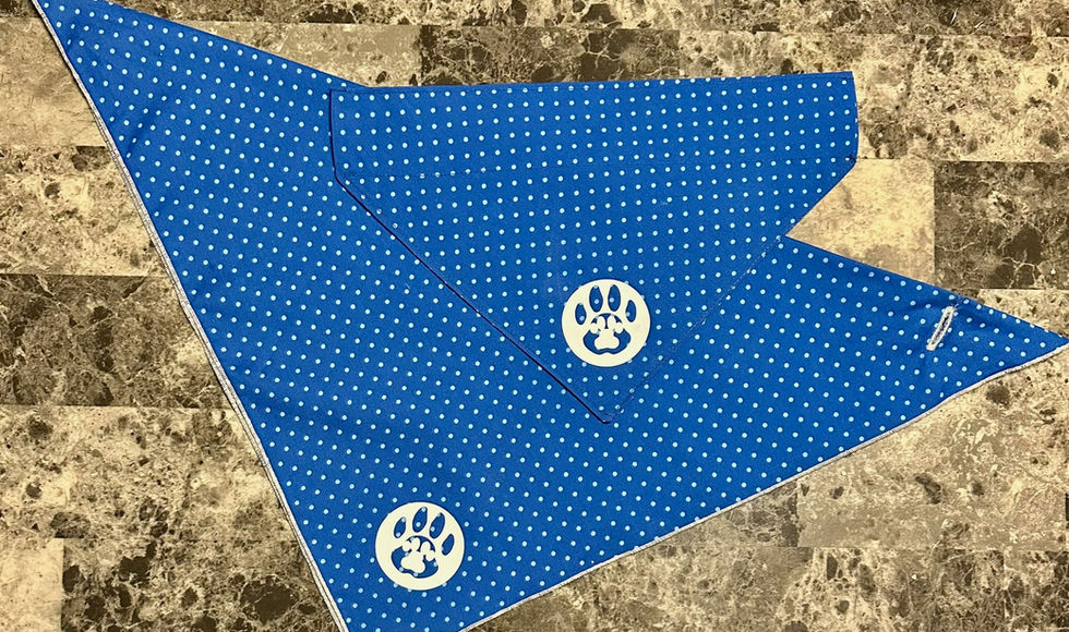 dog bandanas with logo