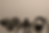 GPT_Image_1_make_the_background_slightly_darker_0_327ea88b-6c0d-4ac9-bb70-558b1917e3fe.png