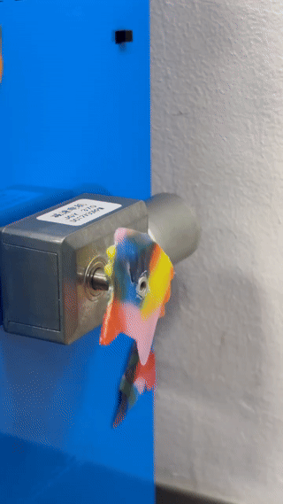 Cat Spin.gif
