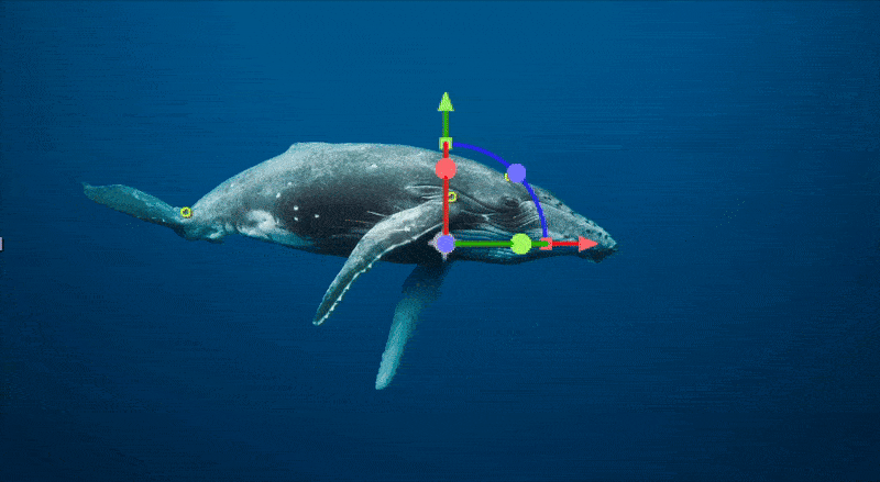 Whale.gif