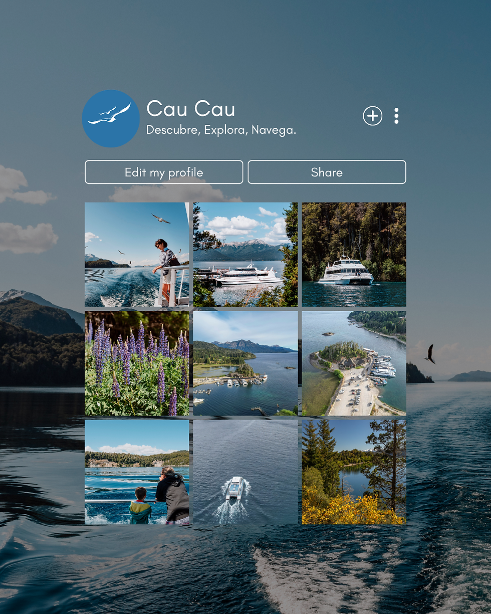 White Modern Photo Collage Social Media Profile UI Instagram Post (2).png