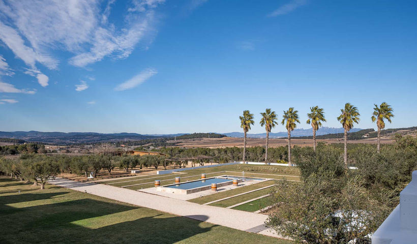 Vista aérea de los jardines con palmeras y fuente: Espacio verde amplio con caminos de piedra, olivos y una fuente ornamental.
