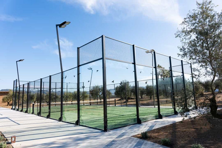 Pista de pádel al aire libre entre olivos: Instalación deportiva con césped artificial y cercado de cristal en un entorno natural.
