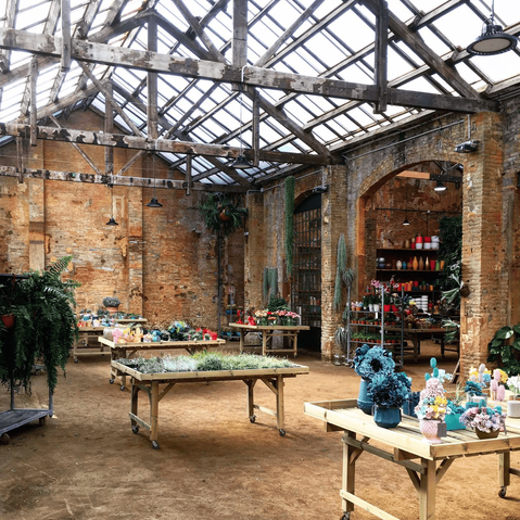 Vista general de invernadero con mesas llenas de plantas y decoración vintage: Espacio abierto con vegetación y un ambiente cálido.