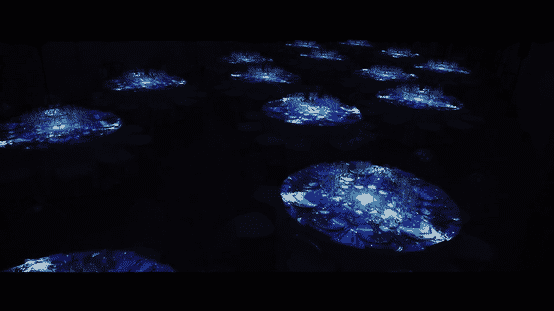 Real Sunsets con Provital-low.gif