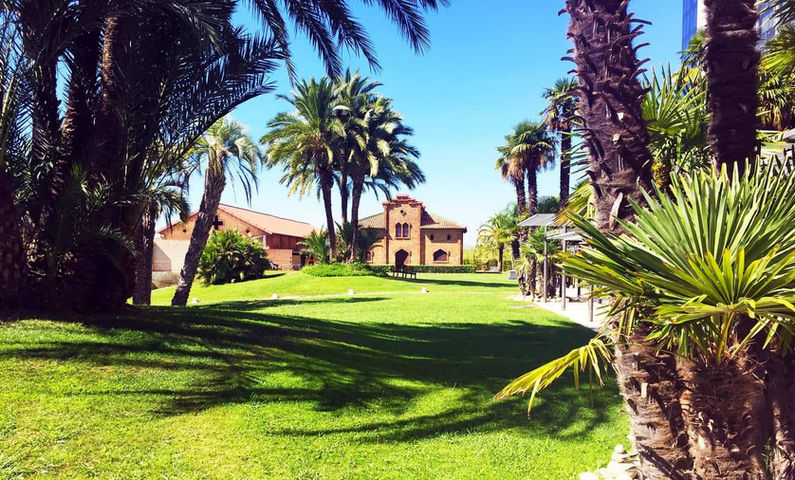 Jardín con palmeras en el Palau de Congressos de Catalunya, ideal para celebraciones empresariales, presentaciones de producto y reuniones privadas en un entorno natural. Jardines para eventos en Barcelona, espacios exclusivos para empresas, Palau de Congressos venue.