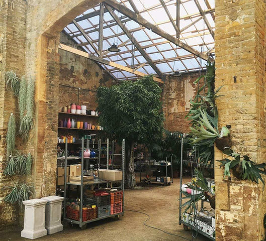 Zona de venta con estanterías de productos y plantas: Espacio rústico con paredes de ladrillo, estantes con macetas y herramientas de jardinería.