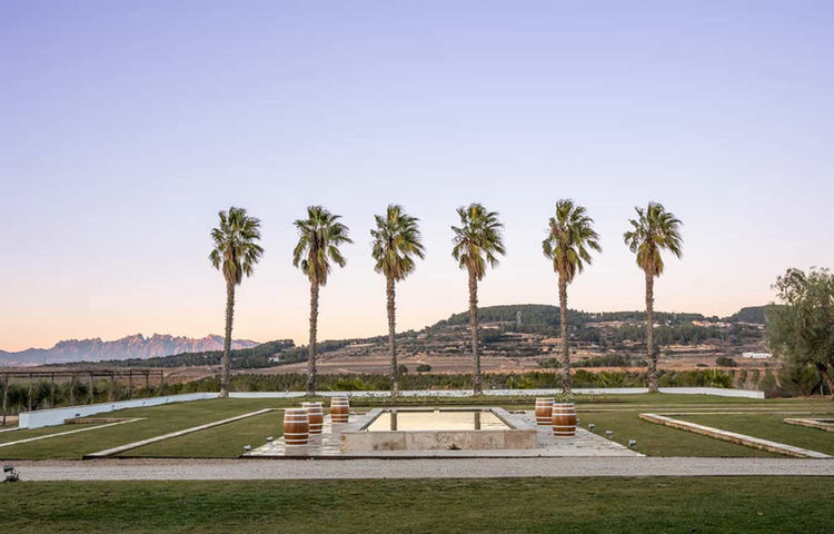 Jardines con palmeras y fuente central al atardecer: Espacio exterior elegante con césped, fuente y vistas panorámicas de las montañas.
