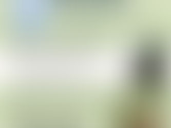 City offering free yard trees this fall