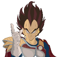 vegeta-prince-vegeta.gif