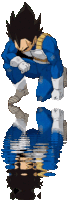 vegeta.gif