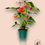 Thumbnail: Anthurium Andreanum