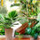 Thumbnail: Vaso Havana Natural Alto