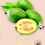 Miniatura: Feijoa sellowiana