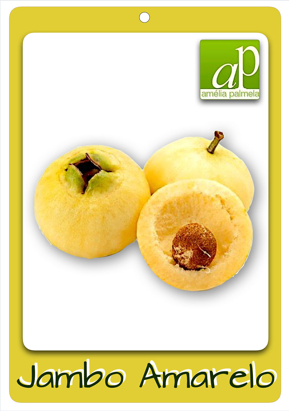 Miniatura: Jambo Amarelo (Syzygium jambos)