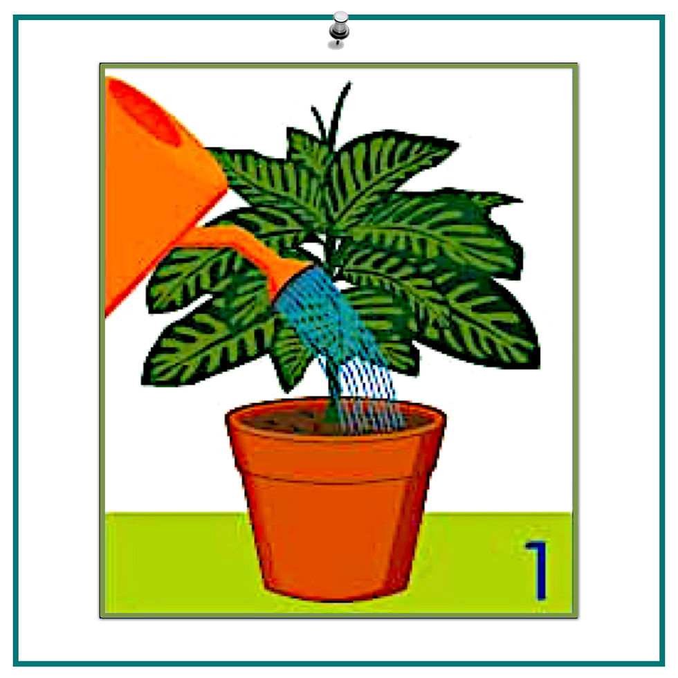 Miniatura: Gesal Gel Auto-rega 250 ml