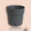 Miniatura: Vaso Capri Largo Reserva De Água