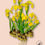 Miniatura: Iris Pseudacorus