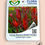Thumbnail: Leucadendron salignum x laureolum