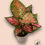 Miniatura: Aglaonema