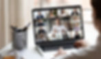 Virtual Team Meeting