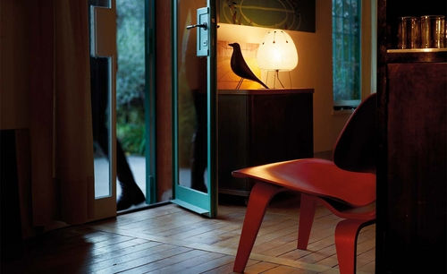 Thumbnail: House Bird