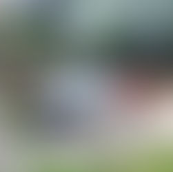 Regional de Leopoldina age no combate ao Aedes aegypti