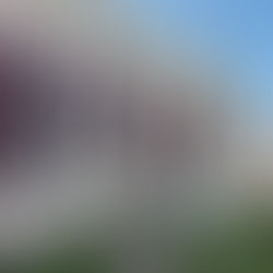 Repasses do mês de fevereiro fecharam em R$ 9.462.120,48 