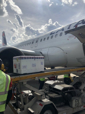 Minas recebe mais 87.600 doses de vacinas contra a covid