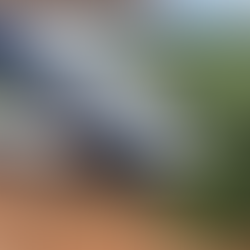 Entenda o que aconteceu com avião que decolou de Muriaé e fez pouso forçado no sul do estado