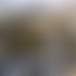 Academias são consideradas serviços essenciais por iniciativa do vereador Bernardo Guedes