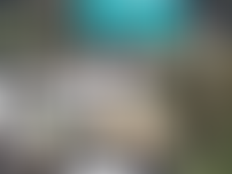 Governo de Minas Gerais anuncia subsídio de R$ 0,60 por litro de diesel para conter alta dos preços