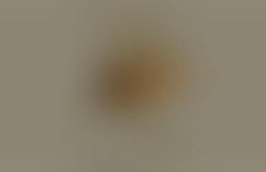 Febre oropouche: conheça a doença transmitida pelo mosquito do tipo maruim