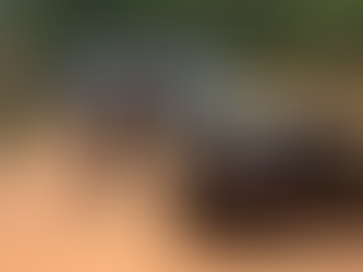 Polícia Militar reforça segurança na divisa entre Minas e Rio em operação integrada