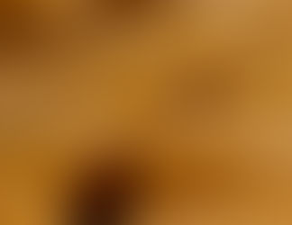 Pesquisas aprimoram queijo artesanal mineiro