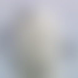 Brasil ultrapassa 5 milhões de casos prováveis de dengue