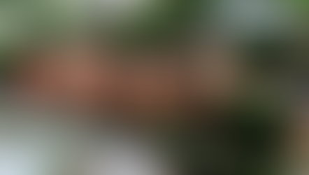 Sessões da Câmara de Leopoldina passam a ser realizadas no CEFET durante período de obras