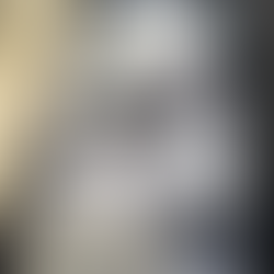 PRF encontra armas escondidas em tanque de combustível de veículo