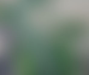 Drones são usados em 100% das inspeções de redes rurais