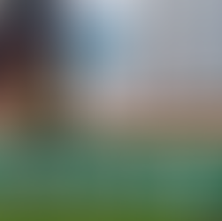 Leopoldina entra na disputa pela construção da cervejaria Heineken