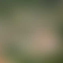 Começa amanhã a 34ª Exposição Agropecuária de Piacatuba