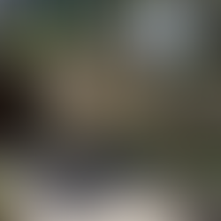 Homem é preso por estelionato contra casal de idosos em Leopoldina