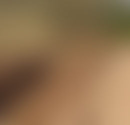 Estado começa fiscalização preventiva na agricultura