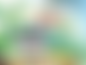 Prefeitura de Leopoldina autoriza contratação direta para aquisição de livros sobre empoderamento feminino