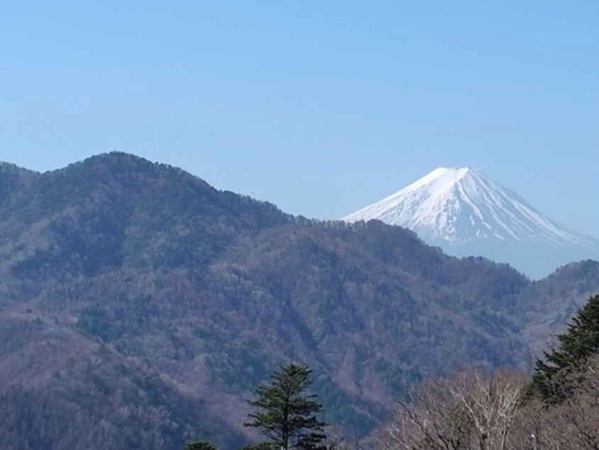 春の空に浮かぶ見事な富士山
