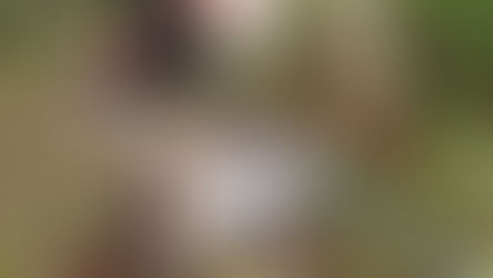 景色を楽しむために、安全を学ぶ。レスキュー講習レポート！