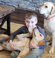 Ginger previous litter- family friendly dogs.jpg